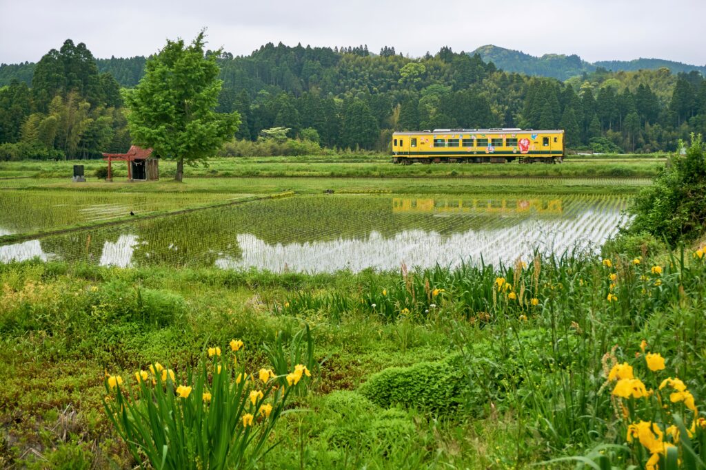 Isumi Railway, chiba, japan