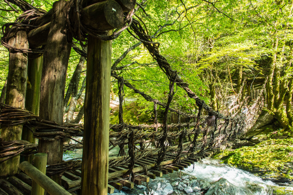 Iya Kazura Bridge, tokushima, japan