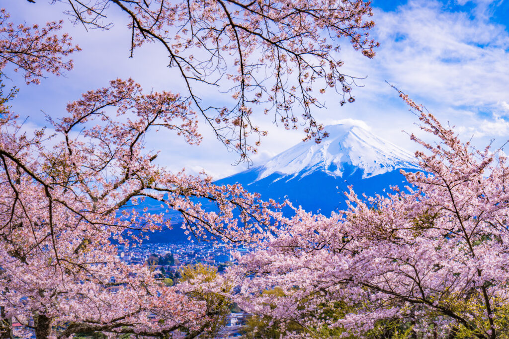 mt.fuji, yamanashi, japan