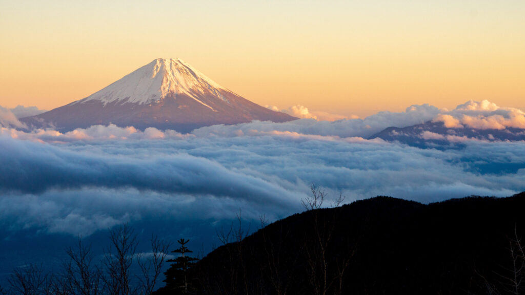 Mt. Fuji