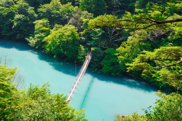 Yume no Suspension Bridge